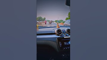 Please subscribe☺️ #swiftlover #cardriving #carlover #thar  #reels #tharlover#swift #cardrivingnight