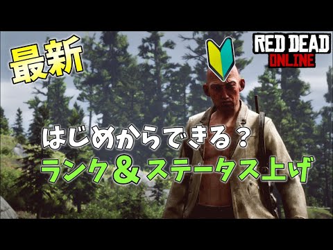 RDO レッドデッドオンライン いきなりPK… 始めたての方へランクやステータス上げ