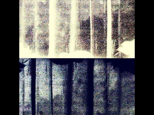 YouTubeでGERMAN ERROR MESSAGE – German Error Message (2023) FULL ALBUM - Folk, World, & Countryを視聴 YouTubeでGERMAN ERROR MESSAGE – German Error Message (2023) FULL ALBUM - Folk, World, & Countryを視聴