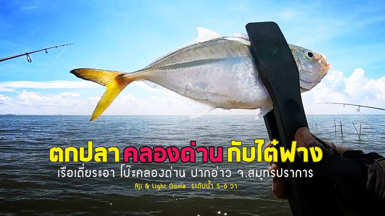 ตกปลาข้างโป๊ะกับไต๋ฟาง เรือเตี่ยระอา คลองด่าน จ.สมุทรปราการ | Slowlife KhlongDan Ajing & Light Game