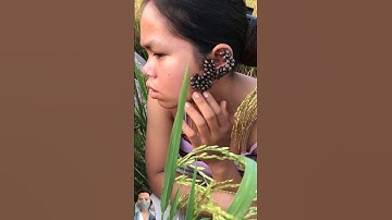 TRYPOPHOBIA TEST Vol.7 #trypophobia #shorts  #viral #trending