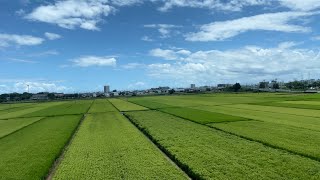 HC85系　特急南紀　伊勢鉄道　東一身田〜河芸