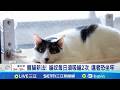 中國對伊朗的支持