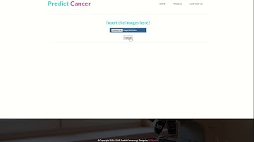 Lung Segmentation Video