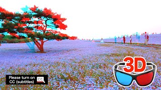 [Anaglyph 3D Video]5.3 million blue flowers cover the entire hill / red-cyan  glasses