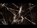 SHESAIDTRACY - ALONE 2 [prod.Coka$ian]