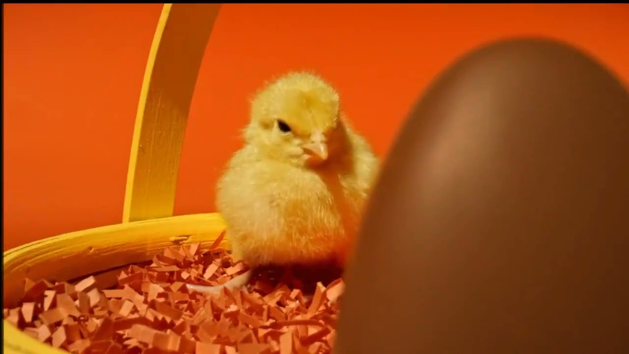 Reese's Commercial 2022 (USA)(1) YouTube