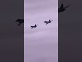 Hope you have a wonderful day! #shorts #usairforce #military #veteran #usaf #fighterjet #aviation