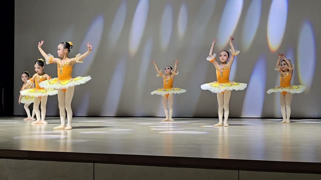 무용학원 예무제 유치원생 발레 흑조