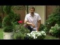 Plants To Use In French Landscaping Landscaping Ideas Plants To Use In French Landscaping Landscaping Ideas