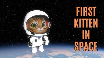 KSA Update: Meet Hunter, First Kitten in Space!