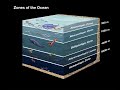 Exploring Ocean Depths And The Zones Of Life