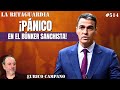 Pnico en el bnker sanchista ante un desplome electoral todos a votar contra snchez y begoa