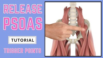 Trigger Point Release - Iliopsoas (Psoas)
