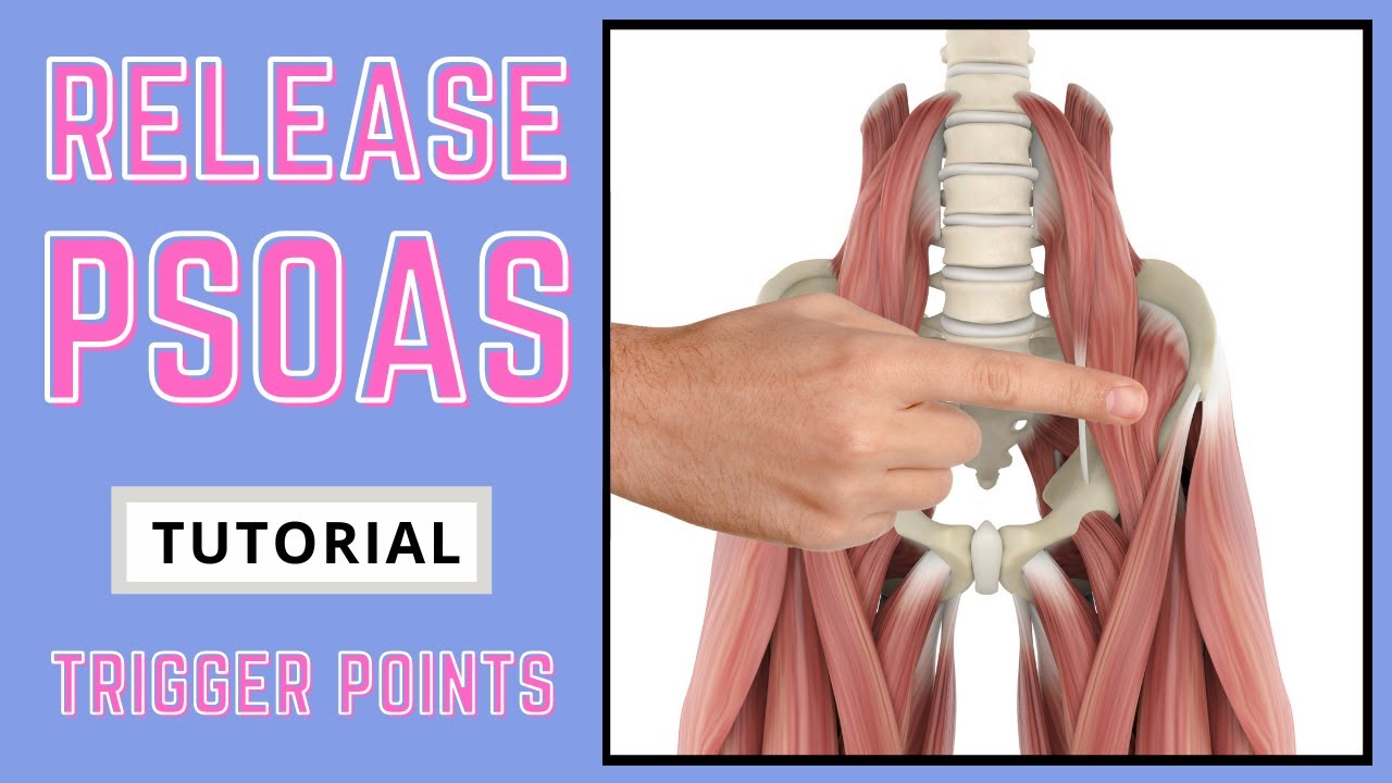 Trigger Point Release Iliopsoas Psoas Youtube