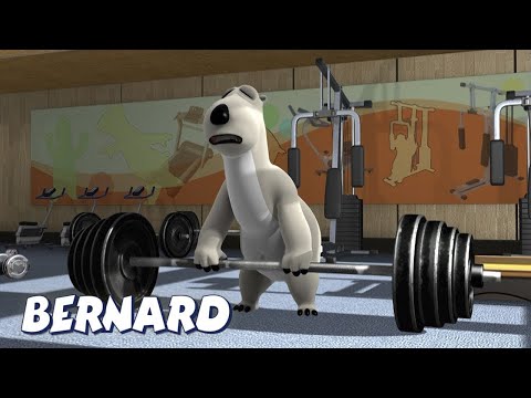 Видео: Медведь Бернард | Спортзал и многое другое | Мультфильмы для детей | Полные серии