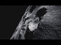 Brushify - Build THE MOON in UE4 (Available on Unreal Marketplace)