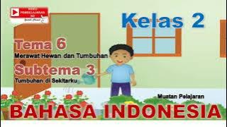 Video Pembelajaran Bahasa Indonesia Kelas 2 Tema 6 Subtema 3