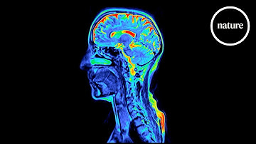 Neuroimmunology: Can you think yourself healthy?