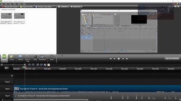 Camtasia Studio 8 Lesson 11 - Grouping Tracks Together