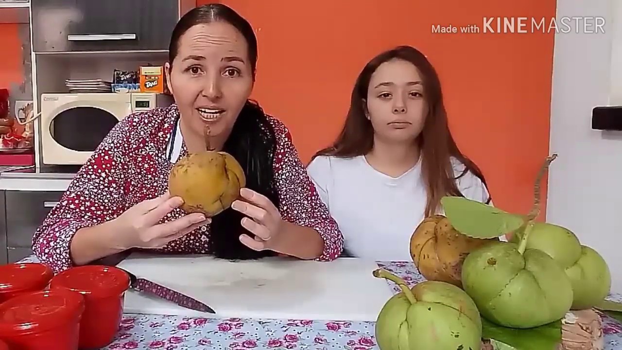 Como Congelar Maçã de Elefante - YouTube