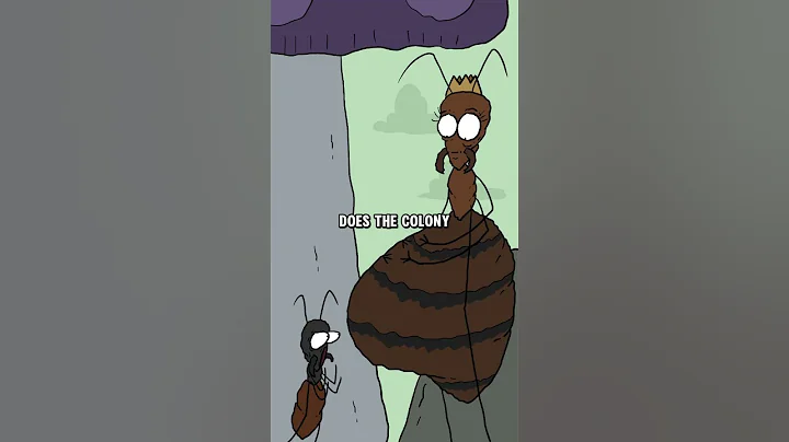 Army ants - The species of ants born for warfare