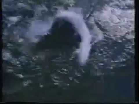 サントリーオールドTVCM 1980年　開口健