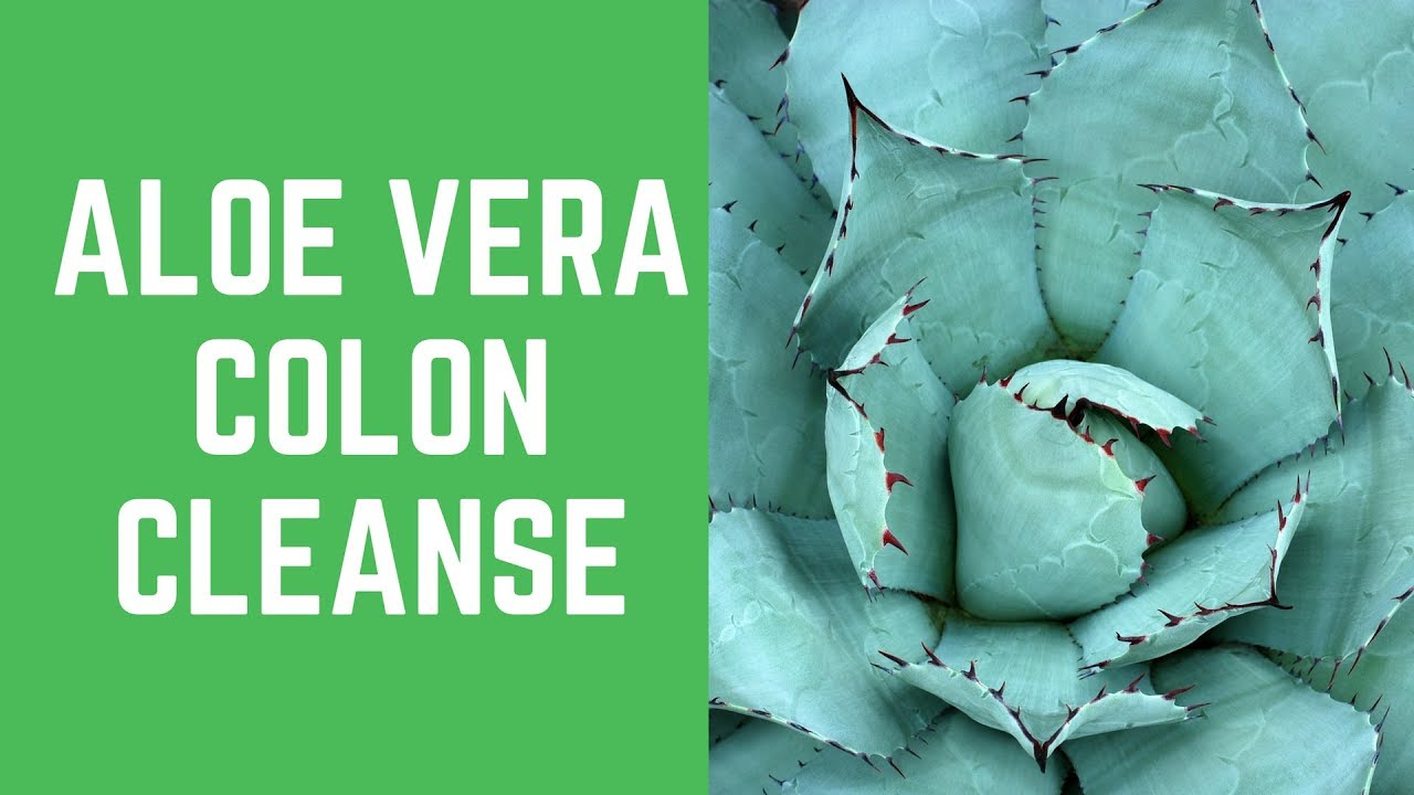 Aloe Vera Colon Cleanse Little Known Ways for Aloe Vera Colon Cleanse