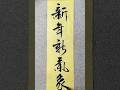 2026年，新年新气象 #书法 #书法家 #新年快乐