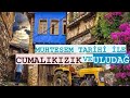 BURSA CUMALIKIZIK VE ULUDAĞ VLOG#bursa#uludağ#cumalıkızık#tarihi#doğal#naturedocumentary#tanıtım#ulu