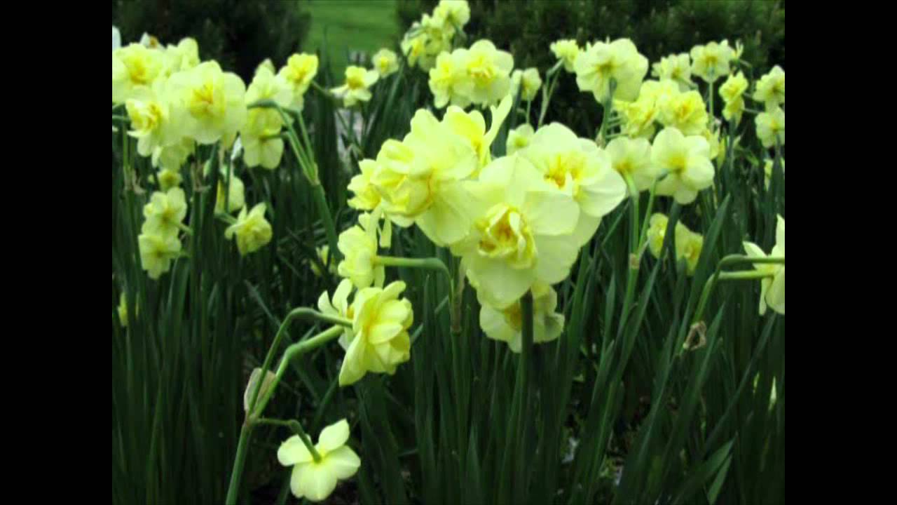 Have a Blessed Spring!! - YouTube