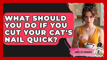 What Should You Do If You Cut Your Cat