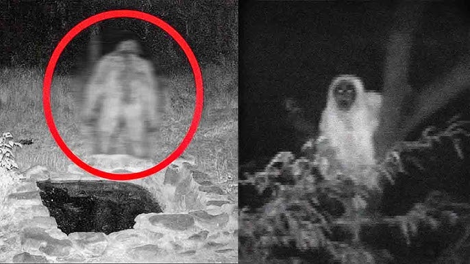 Hiker Makes A Chilling Discovery While Exploring An Abandoned Trail -  YouTube