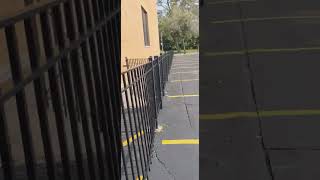 July 28th walk video to elite staffing( on 55th) part9