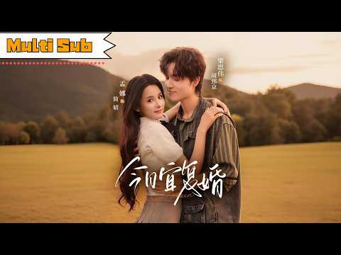 今日宜复婚 poster