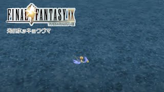シロクマが導かれるクリスタルの物語 | ファイナルファンタジーⅨ #18
