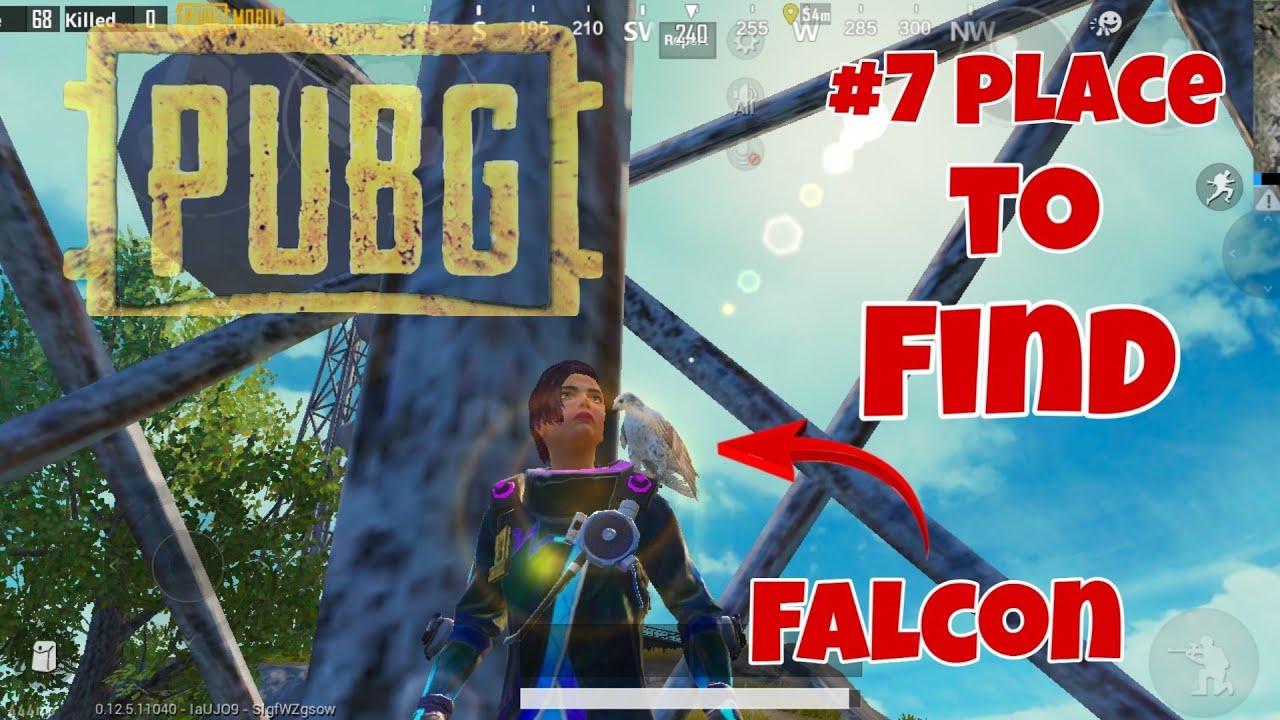  7 place to find falcon in pubg mobile. Only 0.5 people 