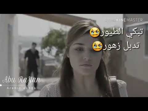 تبكي الطيور تدبل زهور ترحل شموس