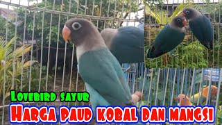 HARGA LOVEBIRD PAUD JENIS KOBAL DAN MANGSI