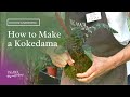 How to Make a Kokedama (Plant in a Moss Ball)