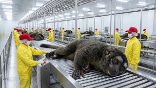 Inside the Night Monkey Factory: From Bio-Lenses to Night Vision Glasses (Full Process) screenshot 1