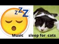 relax your cat