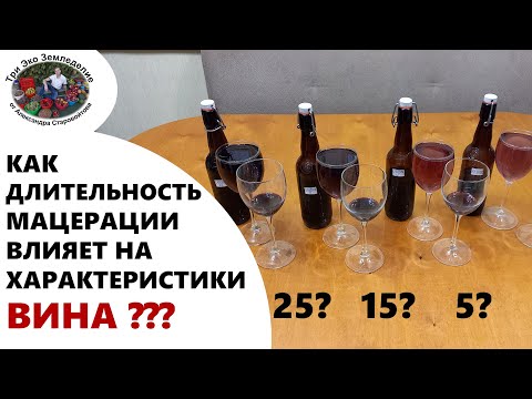 Как длительность мацерации влияет на характеристики вина #ТриЭкоВиноделие