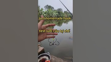 Cách câu lục đầu cần