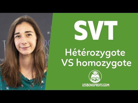 Vidéo: Que signifie homozygote ?