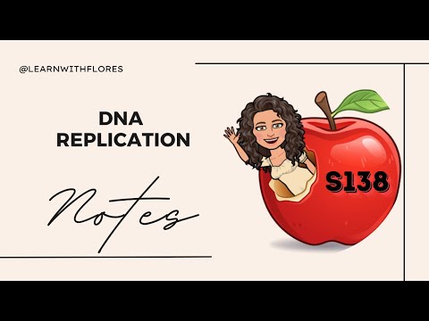 S138 DNA Replication Notes