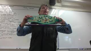 movie in Lab UNit 20 Protists Oct 3