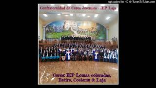 Video thumbnail of "Alaba a Dios - Confraternidad de Coros Juveniles IEP Laja 2018"