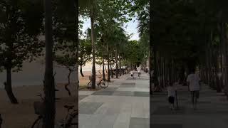  тайланд тайланд2023 паттайя отпуск отдых пыяла словопацана