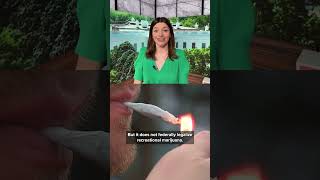 State-licensed medical marijuana reclassified as lower-risk drug by President Trump's administration